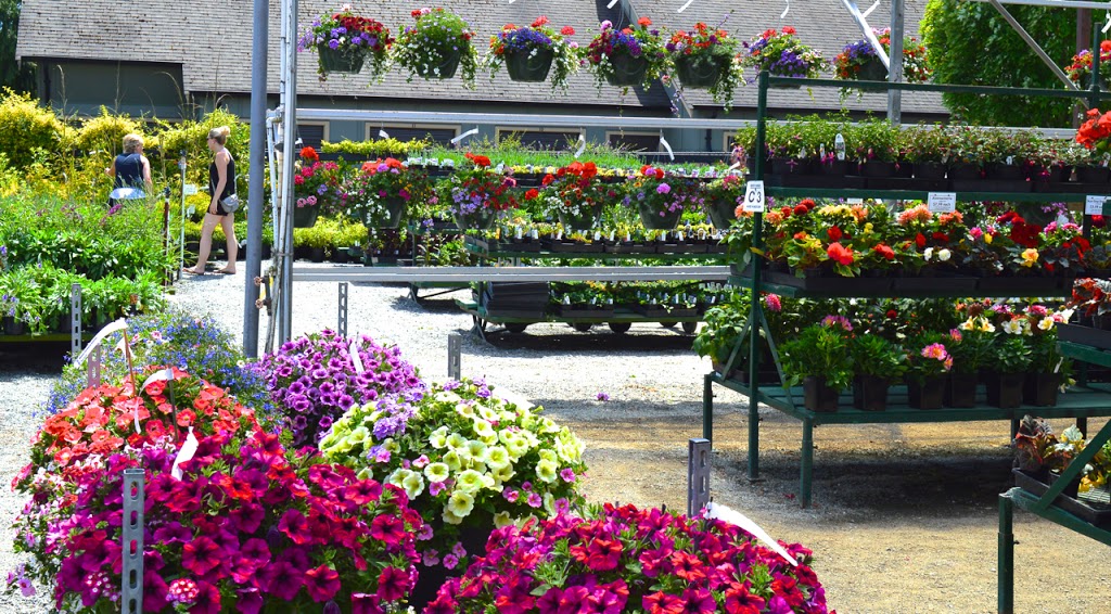 Elk Lake Garden Centre Ltd. | 5450 Patricia Bay Hwy, Victoria, BC V8Y 1T1, Canada | Phone: (250) 658-8812