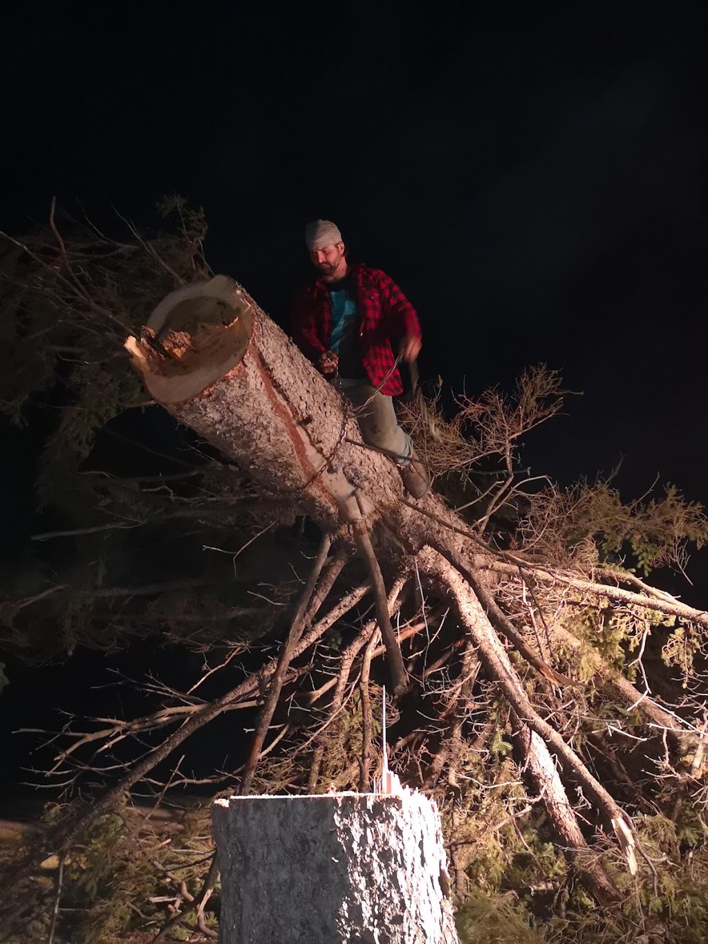 Big Es Tree removal Winkler, MB | 1382 Southview Dr, Winkler, MB R6W 1L8, Canada | Phone: (431) 998-5167