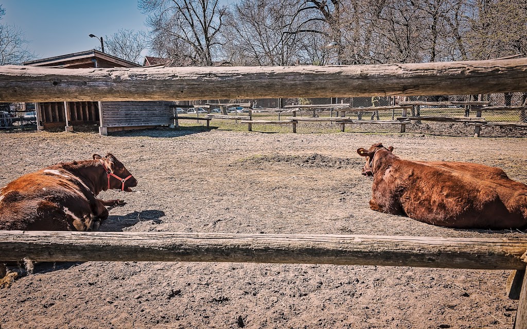 Riverdale Farm | 201 Winchester St, Toronto, ON M4X 1B8, Canada | Phone: (416) 392-6794