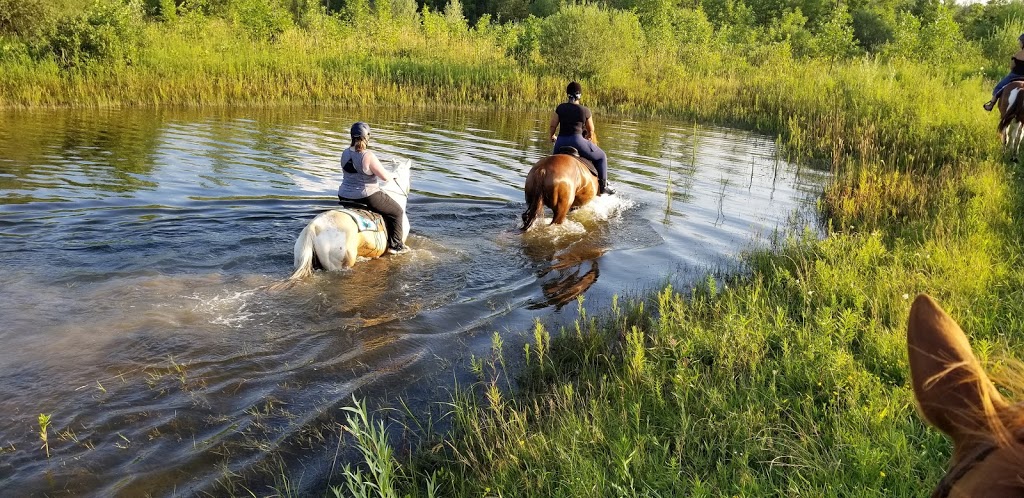 Restoration Ranch / Dragonfly Equestrian | 2020 Safari Rd, Cambridge, ON N1R 5S2, Canada | Phone: (416) 799-5090