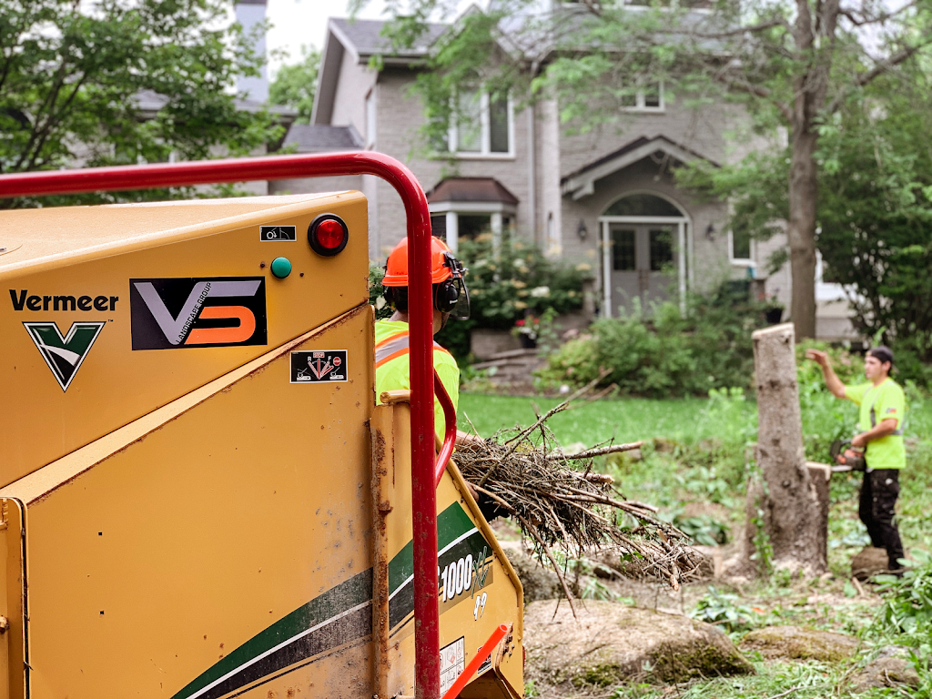 VS Tree Services | 4886 Bank St, Gloucester, ON K1X 1G7, Canada | Phone: (613) 774-5296