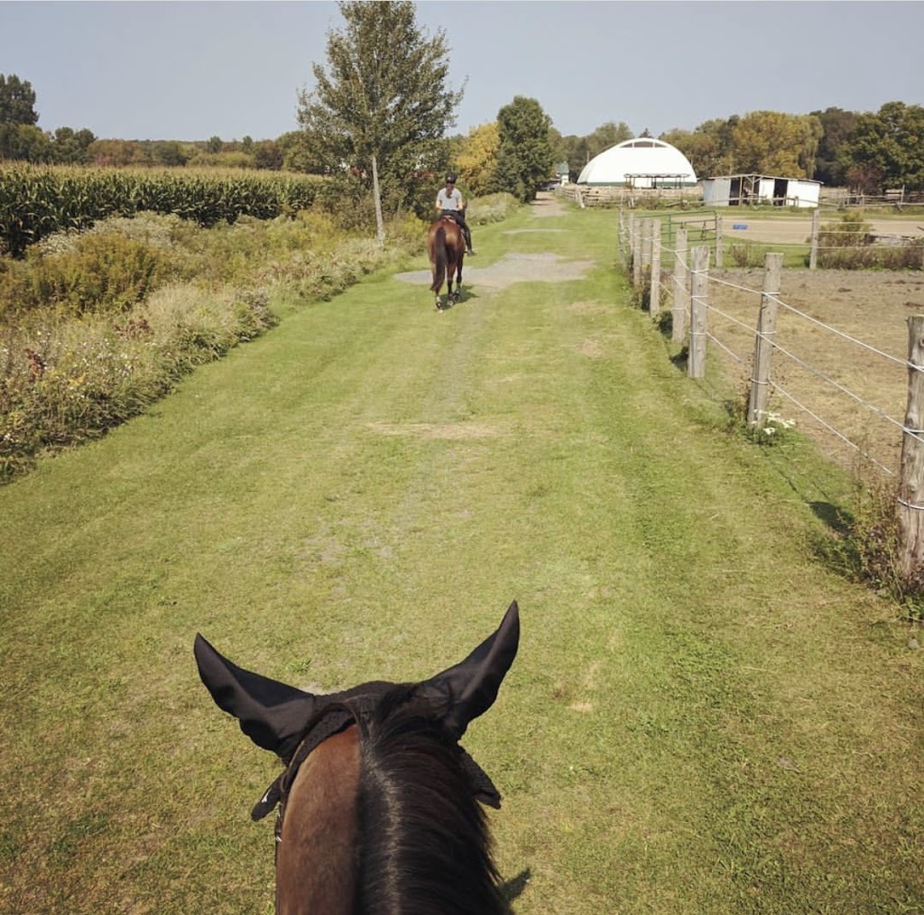 Delle Donne Stables | 97 Chemin Saint-Guillaume, Sainte-Marthe, QC J0P 1W0, Canada | Phone: (514) 823-4637