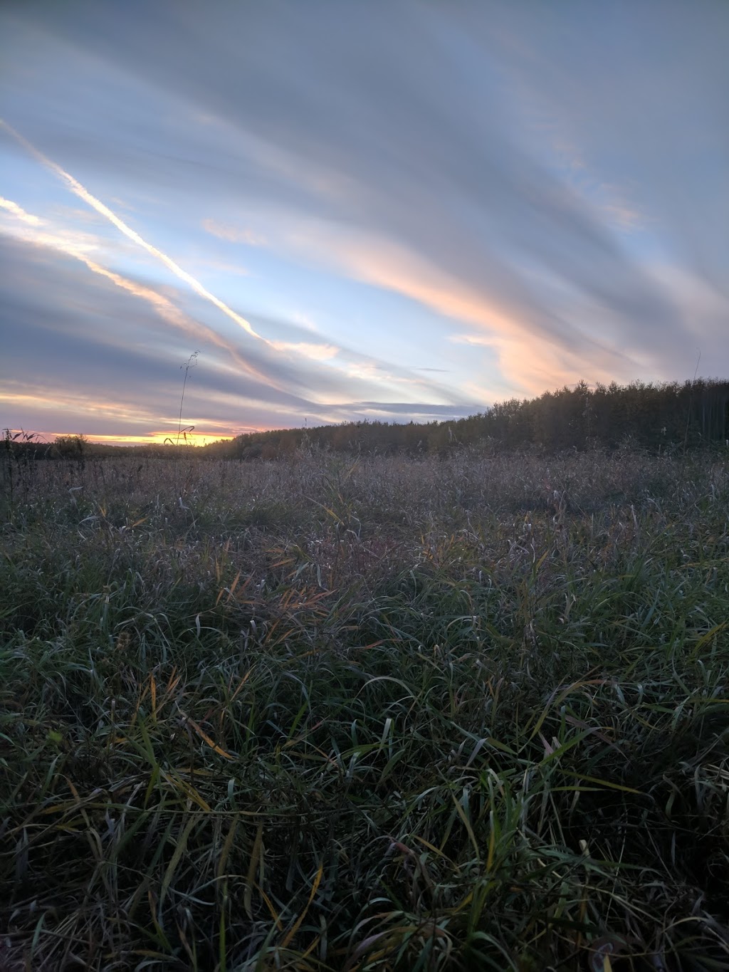 North Cooking Lake Natural Area | Strathcona County, AB T8G, Canada | Phone: (780) 427-3582