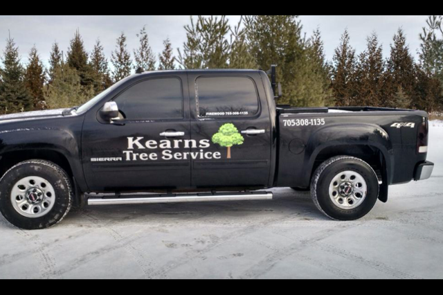 Kearns Tree Service | 108 Opmar Rd, Little Britain, ON K0M 2C0, Canada | Phone: (705) 308-1135