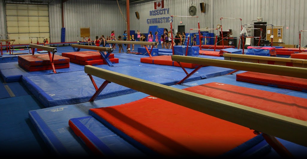 Rose City Gymnastics Inc | 4365 County Rd 42, Windsor, ON N9A 6J3, Canada | Phone: (519) 972-1619