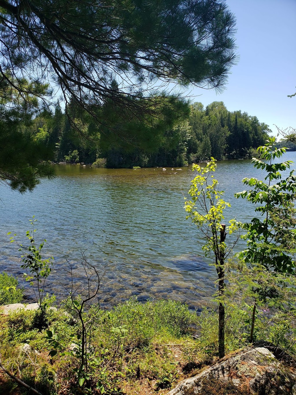 Camping Lac 31 Milles | 20 Chemin de la Baie Noire, Sainte-Thérèse-de-la-Gatineau, QC J0X 2X0, Canada | Phone: (819) 441-8935