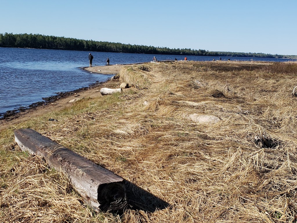 Strawberry Marsh Trail | Hennessy St, Miramichi, NB E1V, Canada | Phone: (506) 623-2150