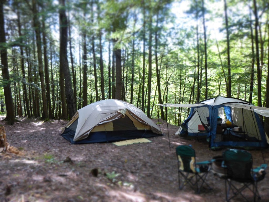 Camping Du Pont Couvert | 2335 Chemin du Pont Couvert, Waterville, QC J0B 3H0, Canada | Phone: (819) 562-6421