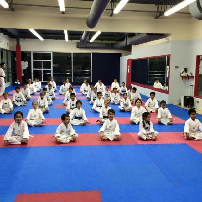 Master Seos Dynamic Taekwondo | 1590 Dundas St E #206, Mississauga, ON L4X 2Z2, Canada | Phone: (905) 277-5425