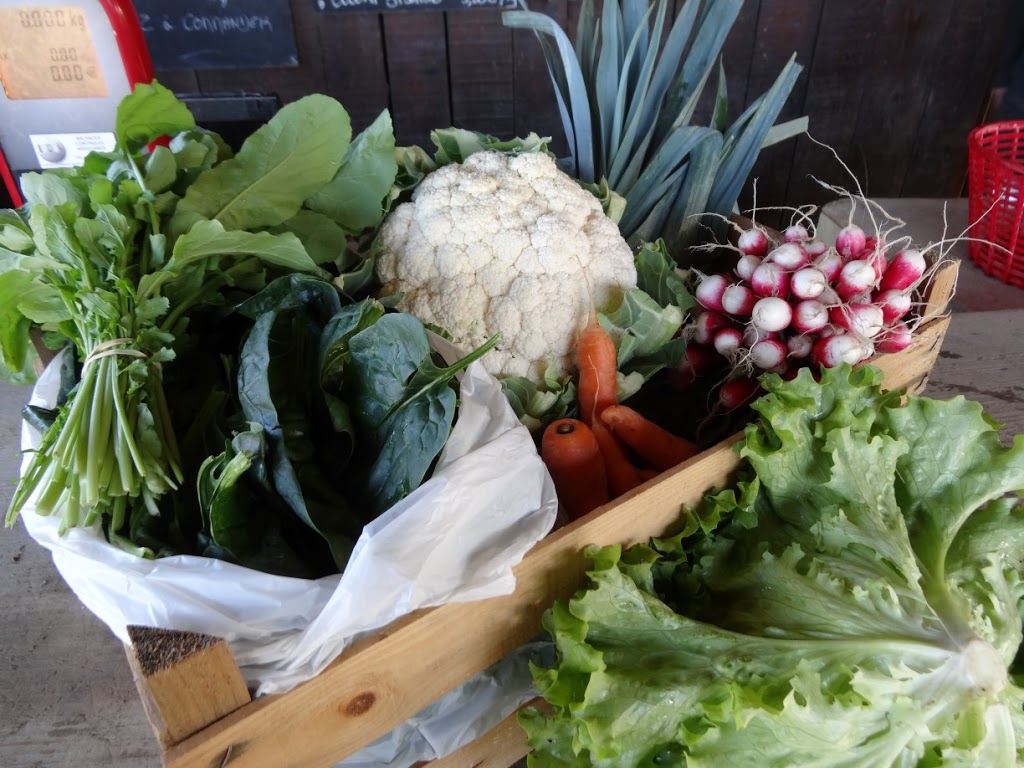 paniers de légumes 100% naturel | 4072 Chemin Royal, Saint-Jean-de-lÎle-dOrléans, QC G0A 3W0, Canada | Phone: (581) 991-2158