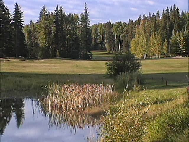 Forest Heights Golf & RV Resort | 4451 Twp Rd 340, Sundre, AB T0M 1X0, Canada | Phone: (403) 556-4010