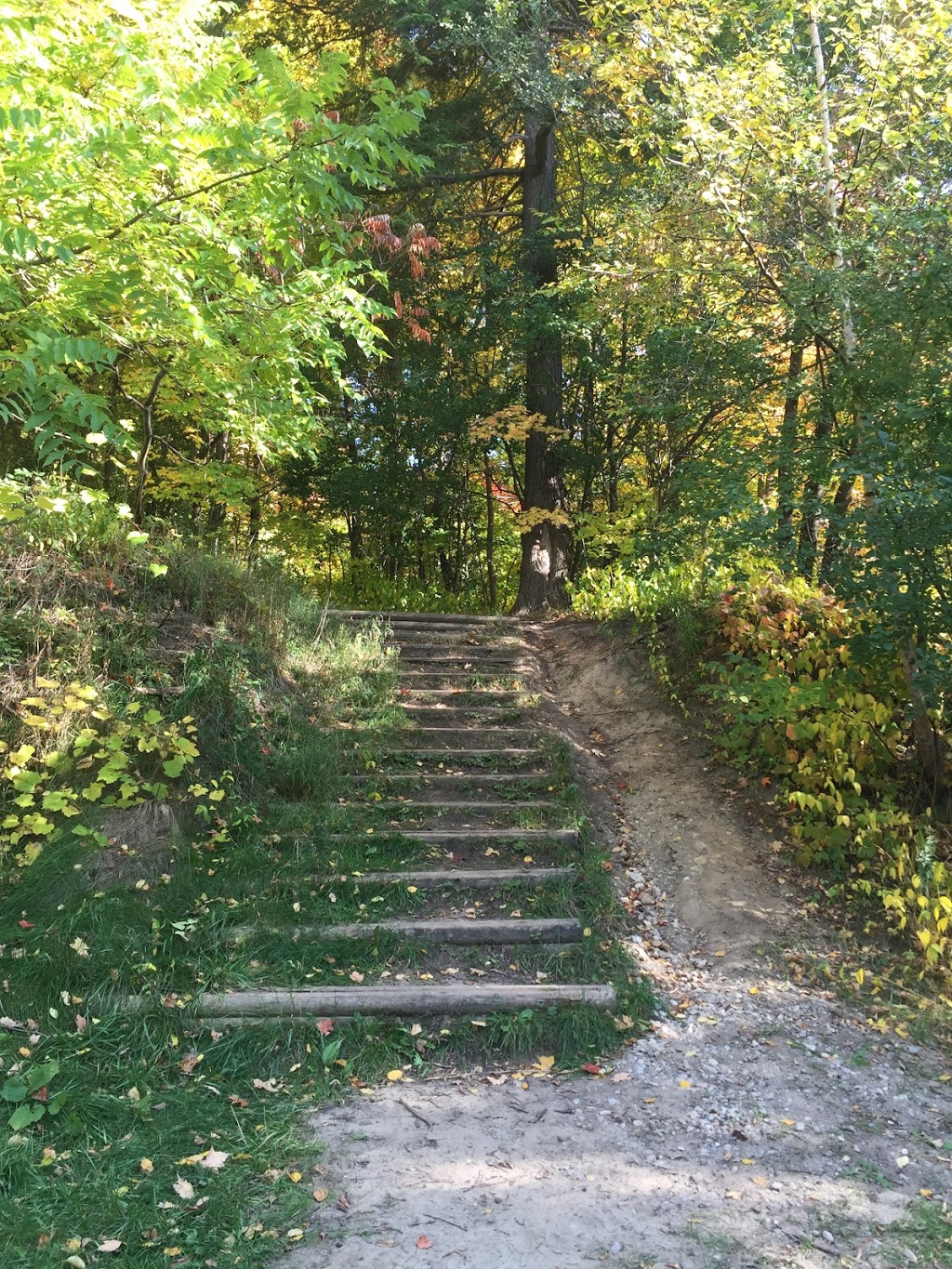 Betty Sutherland Trail Park | 250 Duncan Mill Rd, Toronto, ON M3A, Canada | Phone: (416) 338-4386