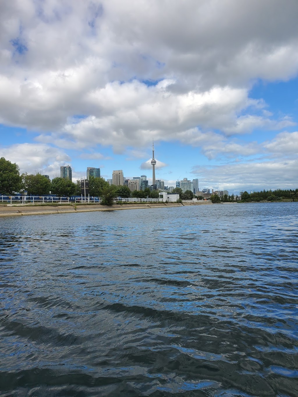 Lake Shore Boat Rentals, Pedal Boat and Kayak | 955 Lake Shore Blvd W, Toronto, ON M6K 3B9, Canada | Phone: (416) 836-4724