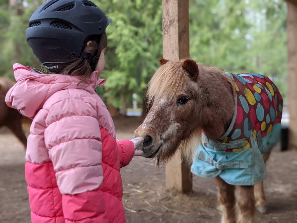 Humble Hooves- Cobble Hill | 3468 Kingburne Dr, Cobble Hill, BC V0R 1L5, Canada | Phone: (778) 679-8267