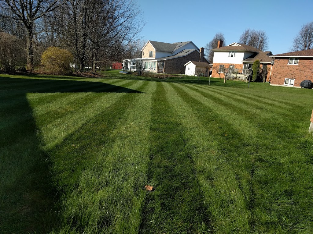 Lawn Rolling | 4479 Dorchester Rd, Niagara Falls, ON L2E 6N5, Canada | Phone: (647) 907-6974