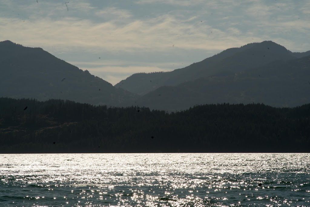 Cogburn Beach | 20 km, Harrison East Forest Service Rd, Harrison Hot Springs, BC V0M 1K0, Canada | Phone: (604) 701-8657