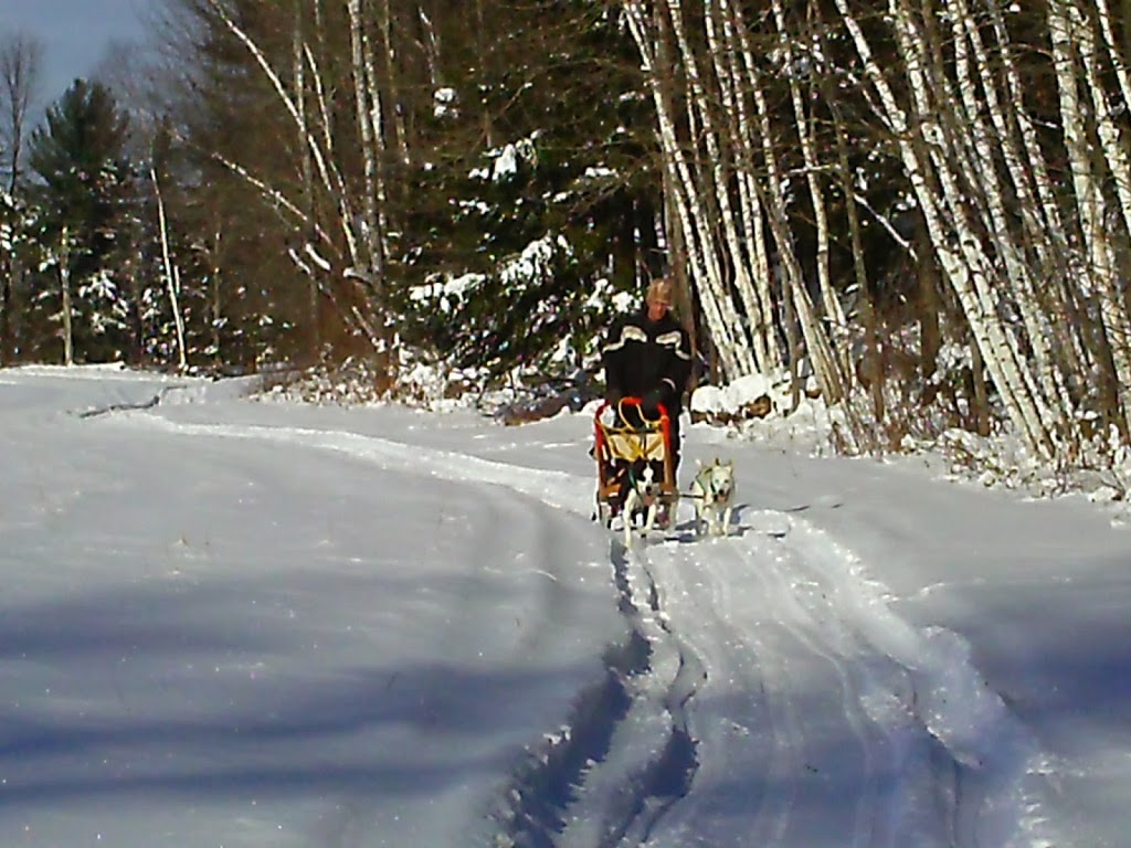 Escapade Canin Laurentides/Outaouais | 47 Chemin du Chenail du Moine, Lac-des-Plages, QC J0T 1K0, Canada | Phone: (819) 430-6627