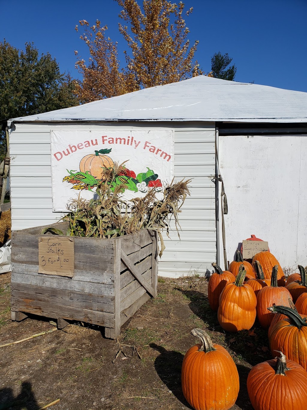 Dubeau Family Farm | 5 Concession Rd 11 E, Tiny, ON L0L 2J0, Canada | Phone: (705) 526-9970