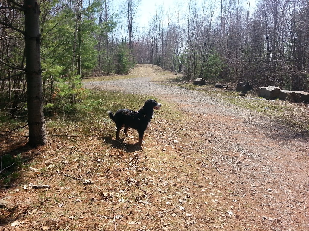 Parc Jacques-Locas | 535 Rue Filion, Saint-Jérôme, QC J7Z 1J6, Canada