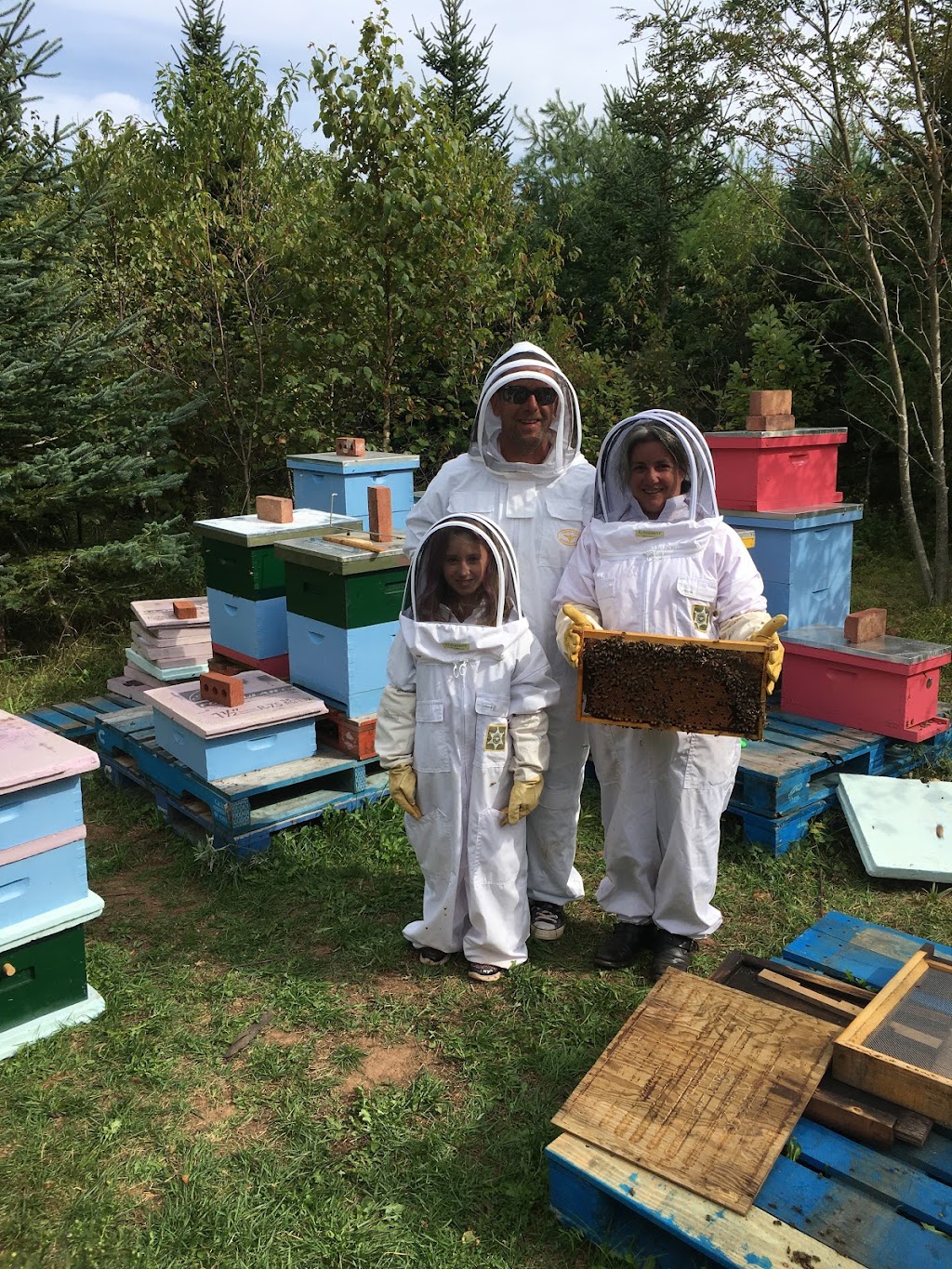 Cymbria Apiaries | 0729 Grand Pere Point Rd, Cymbria, PE C0A 1N0, Canada | Phone: (902) 393-8233