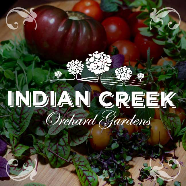 Indian Creek Orchard Gardens | 919 Sugar Bush Rd, Pakenham, ON K0A 2X0, Canada | Phone: (613) 914-7444