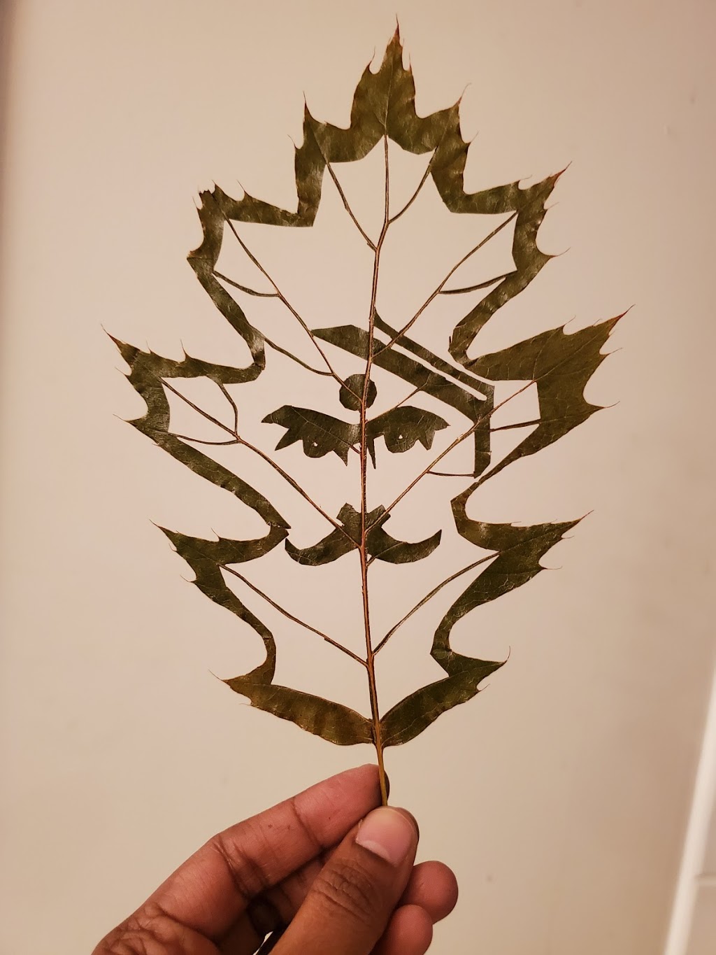 Anus Leaf Carving | 1210 Salter St, New Westminster, BC V3M 5A7, Canada | Phone: (604) 723-9626