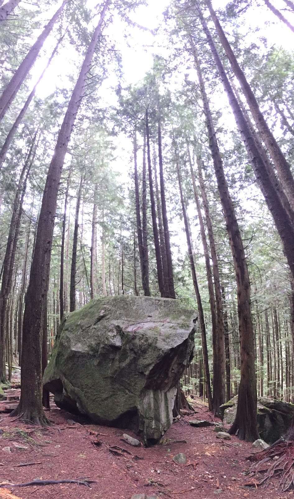 Lynn Canyon Bouldering Field | Lynn Valley Rd, North Vancouver, BC V7K 2T5, Canada