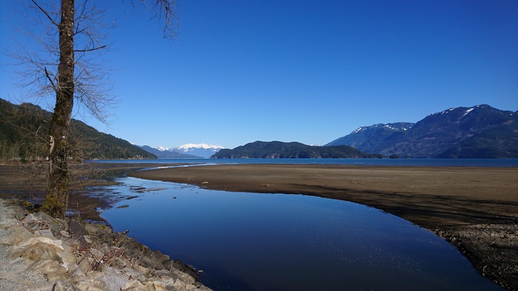 Miami Bridges Trail | behind parking lot of Harrison Spa Resort in, Harrison Hot Springs, BC, Canada