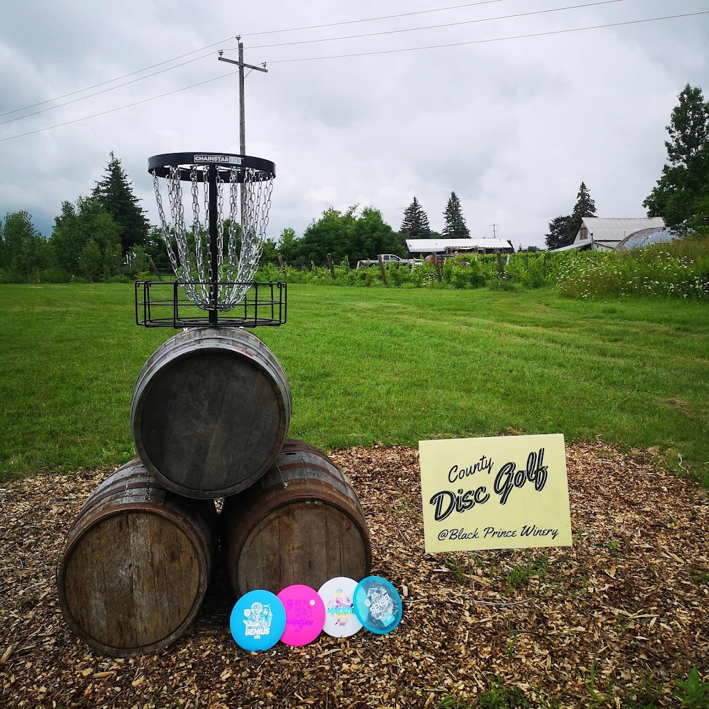 County Disc Golf | 13370 Loyalist Pkwy, Picton, ON K0K 2T0, Canada | Phone: (778) 988-2214