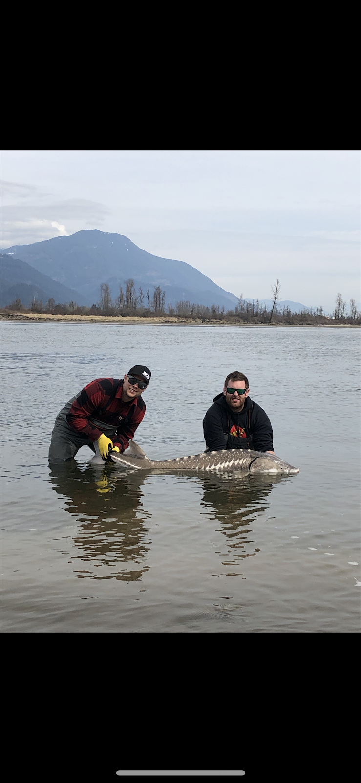 River Wrangler Sportfishing | 49031 Sheldon Rd, Chilliwack, BC V4Z 1B9, Canada | Phone: (778) 246-0650