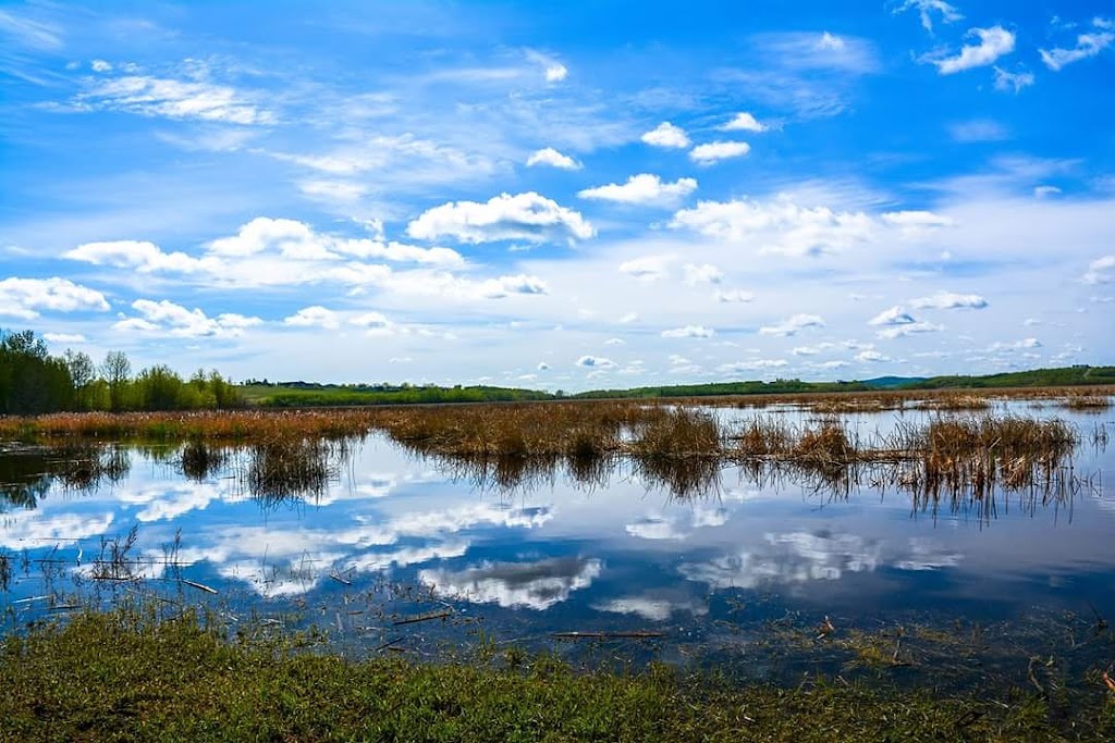 Lloyd Park Disc Golf Course | Foothills County, AB T0L 1W0, Canada | Phone: (403) 256-4113