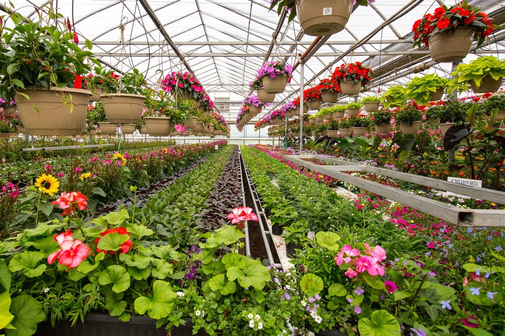 The Mill Greenhouses & Garden Centre | 2718 Highway 3 Port Colborne East, ON L3K 5V3 Canada, Port Colborne, ON L3K 5V3, Canada | Phone: (905) 834-7466