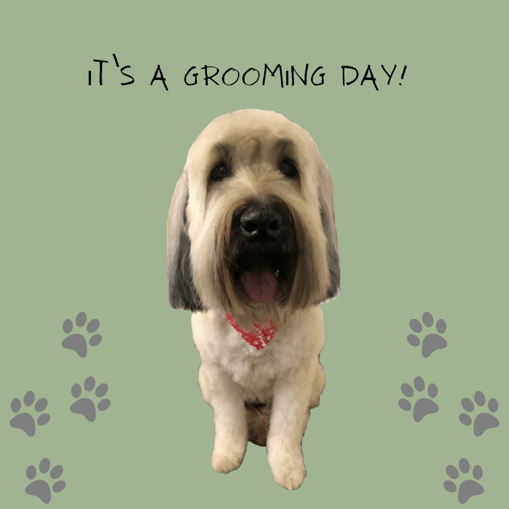 Doris Grooming & Spa | 647 Godwin Ct, Coquitlam, BC V3K 5T1, Canada | Phone: (236) 513-4770