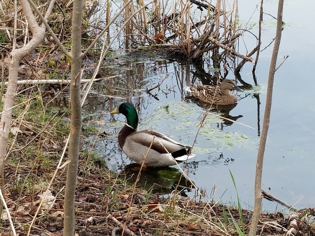 Loafers Lake park | 1X9, Etobicoke Creek Trail, Brampton, ON L6Z 1X9, Canada