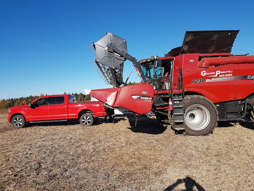 Ferme Porcité | 87 Rang du Bas-Saint-Jacques, Saint-Elzéar, QC G0S 2J0, Canada | Phone: (418) 805-8265