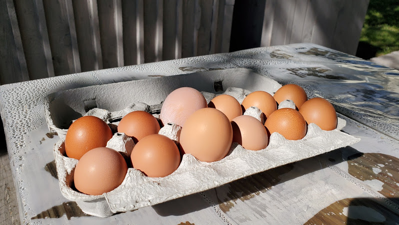 La Ferme des Trois-Ruisseaux | 4685 Boulevard du Parc-Industriel, Bécancour, QC G9H 3N3, Canada | Phone: (819) 297-2527