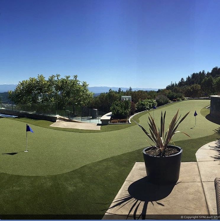 SYNLawn Vancouver | 8207 Swenson Way, Delta, BC V4G 1J5, Canada | Phone: (778) 246-2210