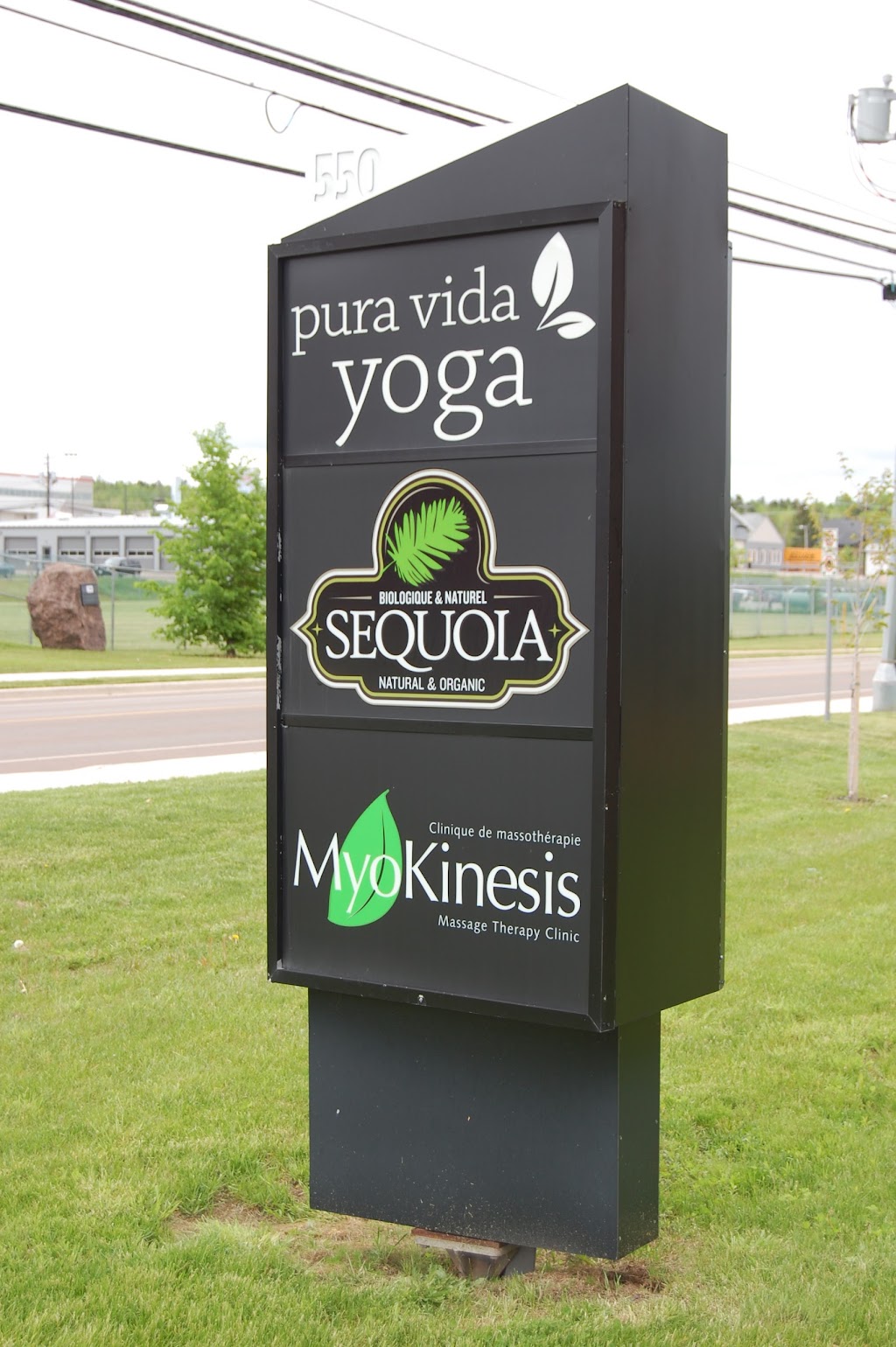 Pura Vida Yoga | 550 Gauvin Rd #201, Dieppe, NB E1A 1M8, Canada | Phone: (506) 830-7872