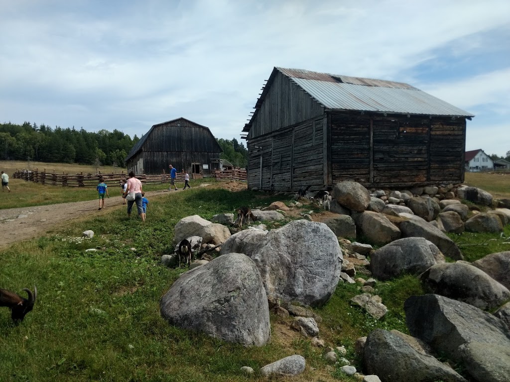 Chèvrerie charlevoix | 131 Rang Saint Jean Baptiste, La Malbaie, QC G5A 2E4, Canada | Phone: (418) 665-1655