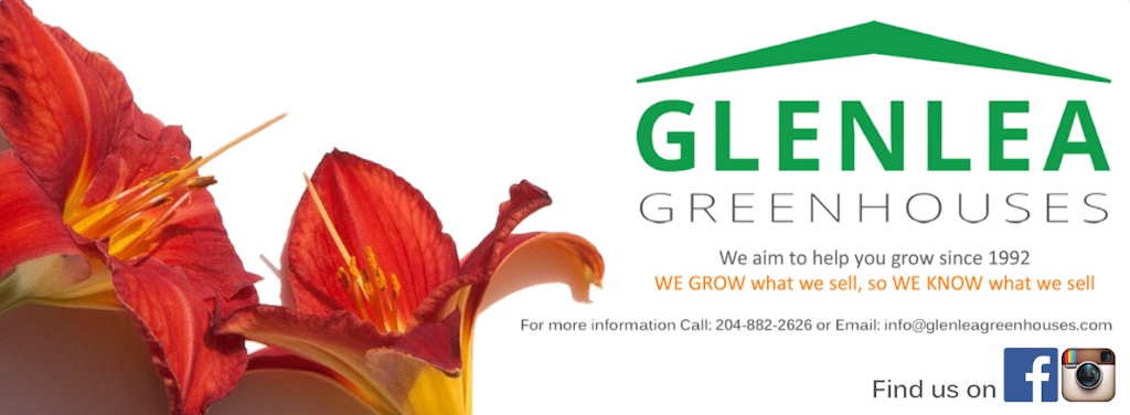 Glenlea Greenhouses | 2715 MB-75, Ste. Agathe, MB R0G 1Y1, Canada | Phone: (204) 882-2626