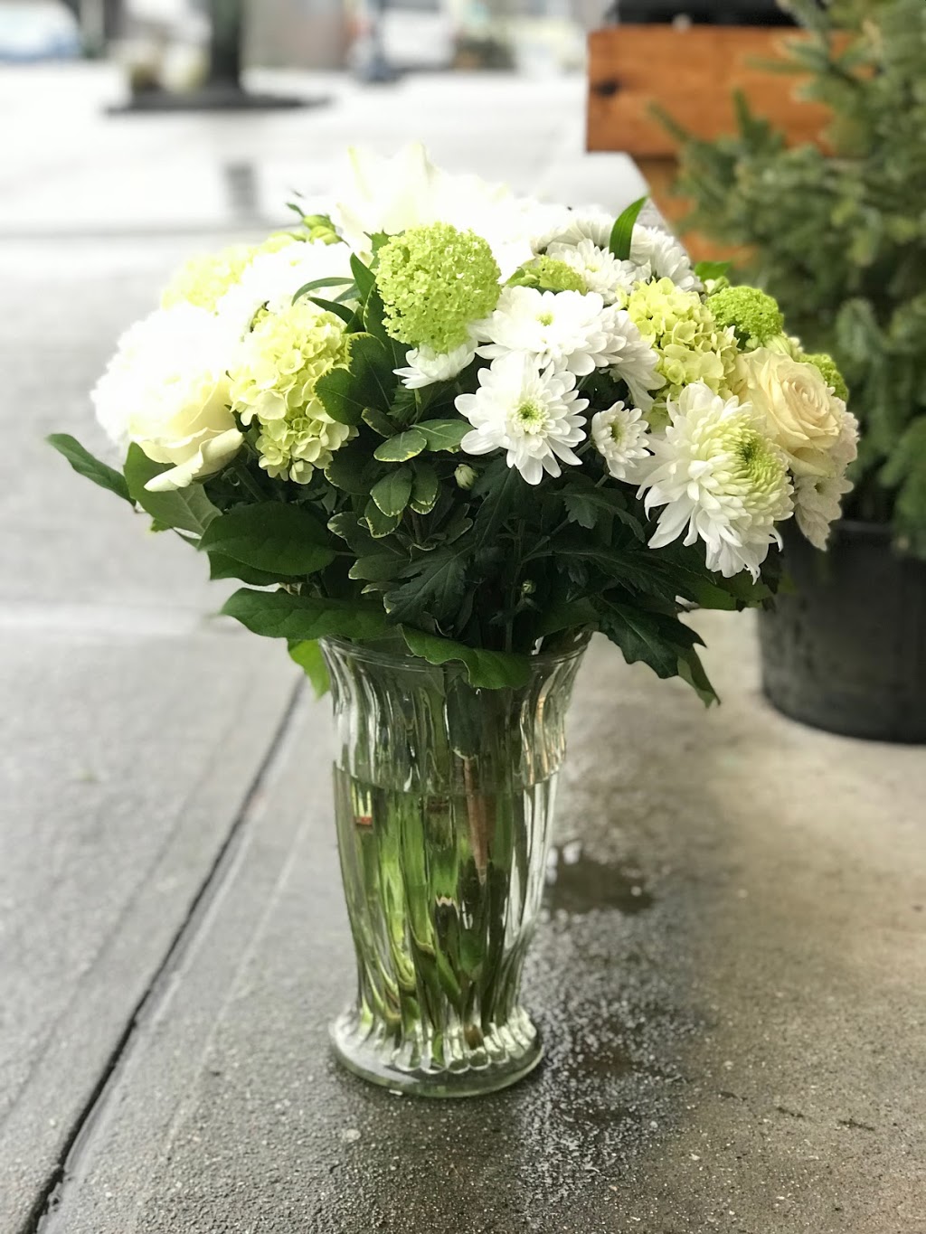 RainFlorist | 272 Mollys Ln, Gibsons, BC V0N 1V8, Canada | Phone: (604) 786-5793