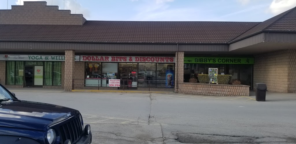 Dollar Bits & Discounts | Beeton, New Tecumseth, ON L0G 1A0, Canada | Phone: (905) 729-0099