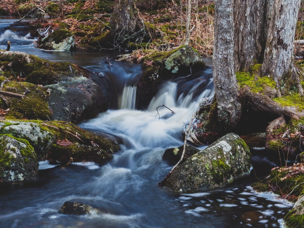 Jerry Lawrence Provincial Park | 4775 St Margarets Bay Rd, Upper Tantallon, NS B3Z 1N5, Canada