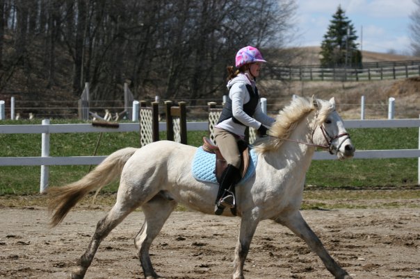 Warwick Equestrian Development | 3433 Crampton Dr, Mossley, ON N0L 1V0, Canada | Phone: (519) 269-1115