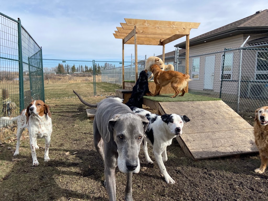 Piper Creek Pet Resort | 37406 Range Rd 271, Alberta T4E 1L6, Canada | Phone: (403) 347-3967