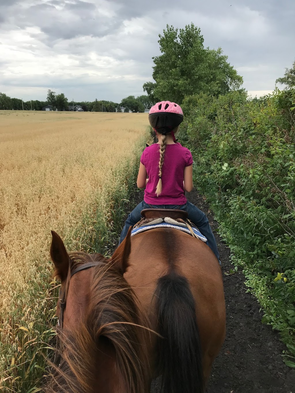 Pony Tails Petting Zoo | Rd 20W, Friedensfeld West, MB R0G 1R0, Canada | Phone: (204) 362-7372