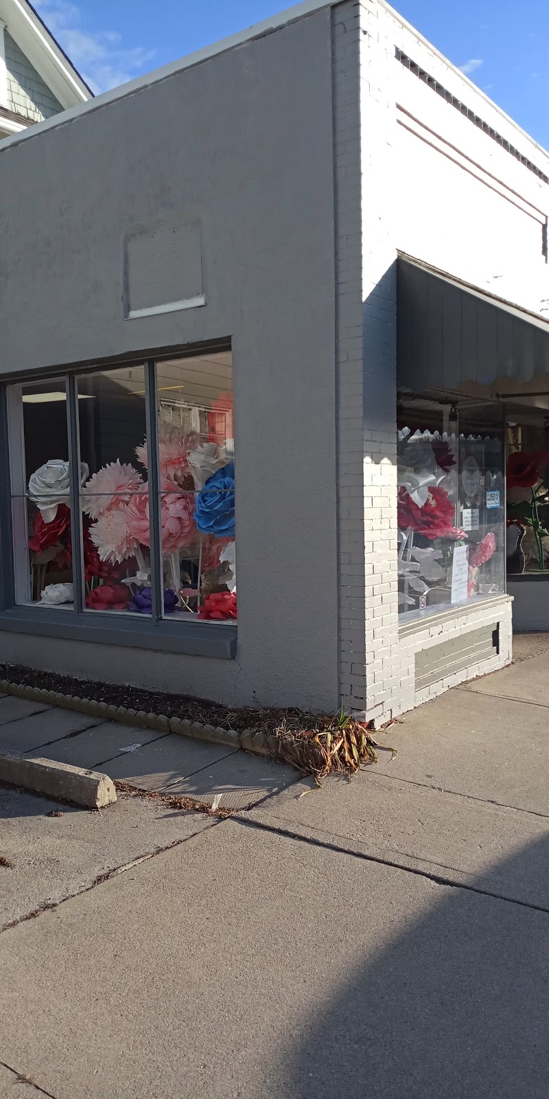 Summer BloomS | 118 Mitton St S, Sarnia, ON N7T 3C4, Canada | Phone: (519) 331-0937