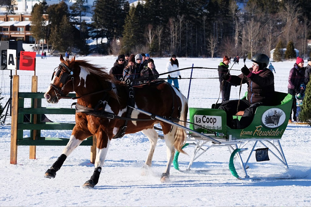 Festi-Neige | 24, rue Saint-Paul is CP 323, Sainte-Agathe-des-Monts, QC J8C 3C6, Canada | Phone: (888) 326-0457