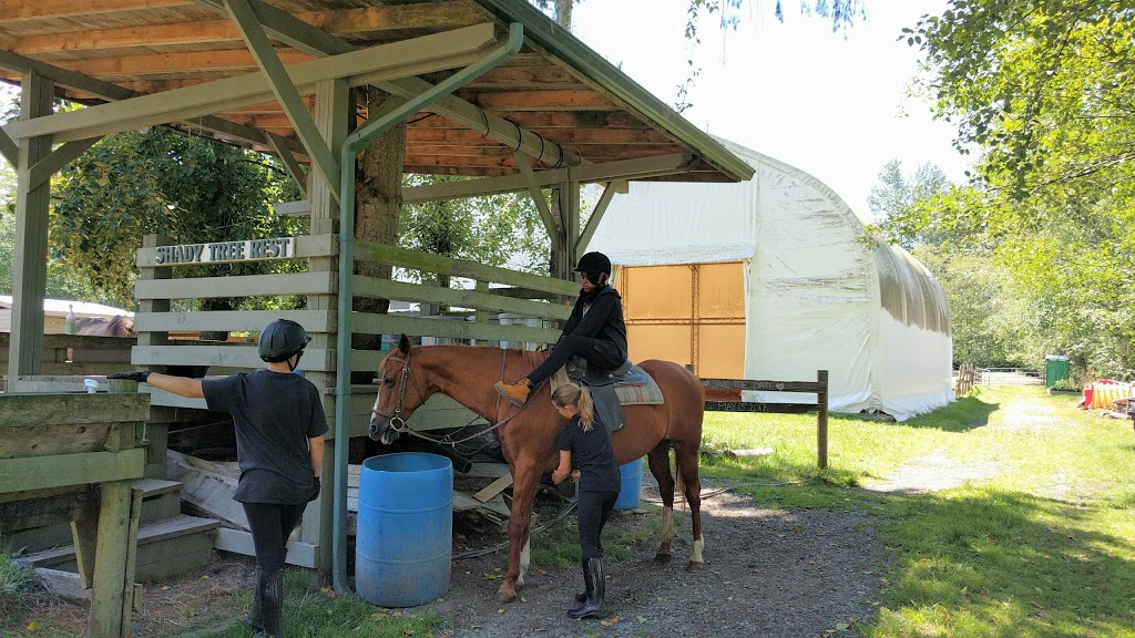 Langley 204 Horseback Riding | 543 204 St, Langley City, BC V2Z 1V5, Canada | Phone: (604) 533-7978