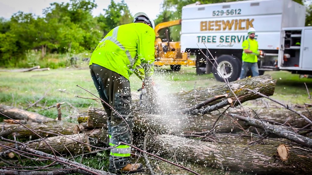 Beswick Tree Service | 418A Whitney Ave Unit C2, Hamilton, ON L8S 2H8, Canada | Phone: (905) 529-5612